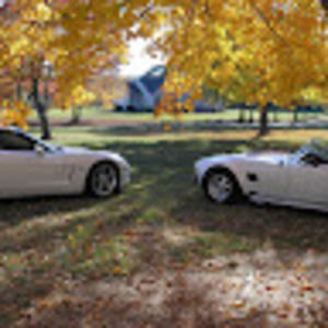 Meet your Posher, Jerry